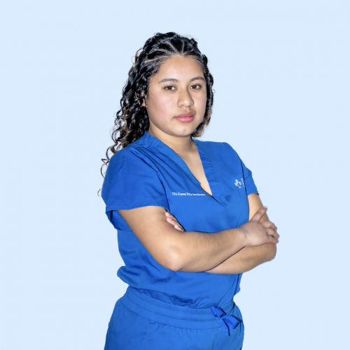 lic-karen